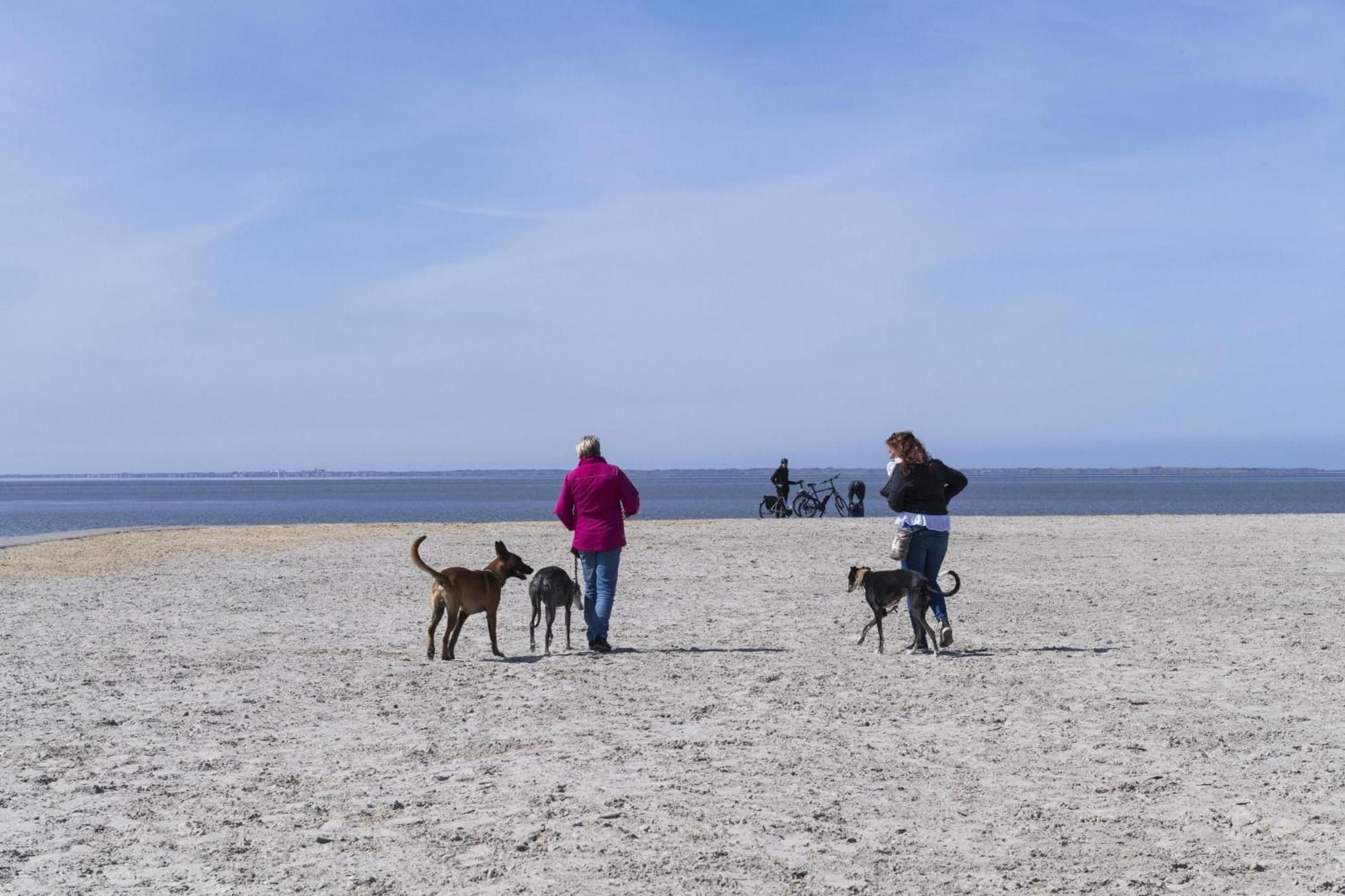 Pfoetchenparadies II Geestland ภายนอก รูปภาพ